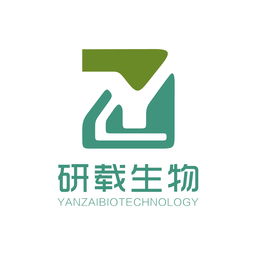 技術服務 企業(yè)數(shù)字化轉型與持續(xù)發(fā)展的核心引擎