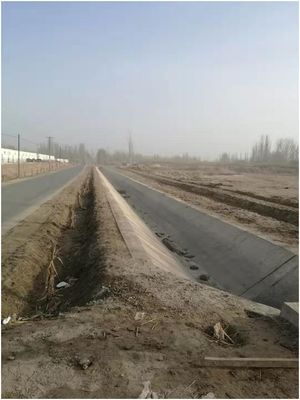 萬(wàn)物新生初春月 民族融情植基層